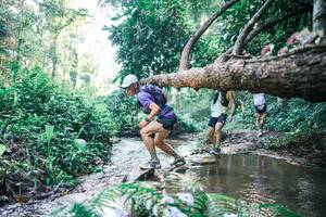 BIB: 
                            <button type="button" onclick="openModal(25434033)" class="btn btn-primary btn-sm float-right btn-popup" data-toggle="modal" data-target=".modal-high-quality">
                        <i class="fas fa-shopping-cart"></i> Add to Cart
                    </button>
                                            <button type="button" onclick="isThisMe(25434033, true)" class="btn btn-success btn-sm float-right btn-popup btn-isme hidden" data-toggle="tooltip" data-placement="bottom" title="นี่คือรูปของคุณใช่ไหม คลิกที่นี่เพื่อเอาเข้าอัลบั้ม">
                        <i class="fas fa-plus"></i> Add to album
                    </button>
                    <button type="button" onclick="isThisMe(25434033, false)" class="btn btn-warning btn-sm float-right btn-popup btn-isnotme hidden">
                        <i class="fas fa-ban"></i> Remove from album
                    </button>